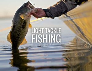 Light Tackle Fishing